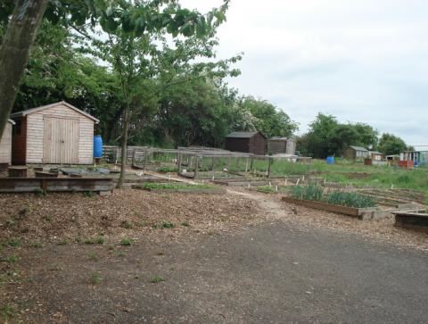 School Grounds.jpg